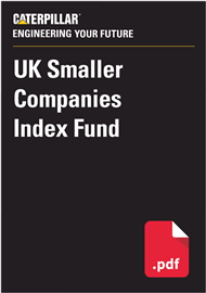 UK SMALLER COMPANIES INDEX FUND