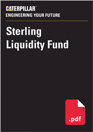 STERLING LIQUIDITY FUND