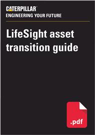 LIFESIGHT ASSET TRANSITION GUIDE